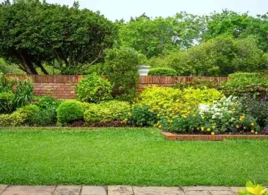 landscaping services Princeton Meadows